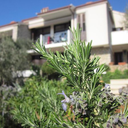 Apartments Palma & Pino Cres Exterior photo